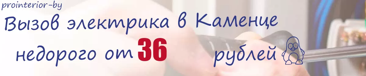 Электрик в Каменце